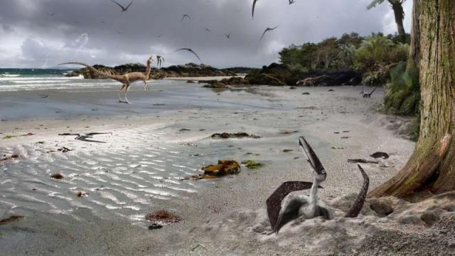 Pterosaurs Could Somehow Fly Right After Hatching, New Fossils Suggest