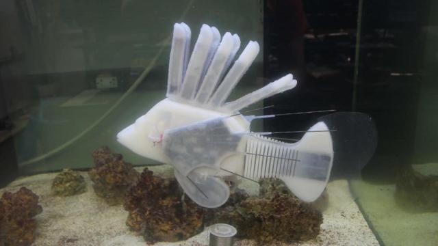 This Freaky Robotic Fish Is Powered By ‘Blood’