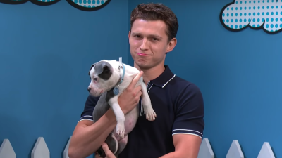 Tom Holland’s Making It Really Hard To Honour My Apartment’s ‘No Dogs’ Policy