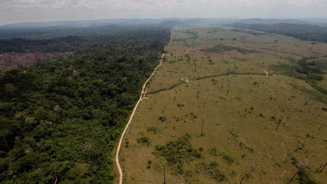 Deforestation And Climate Change Could Split The Amazon Rainforest In Two, Study Finds