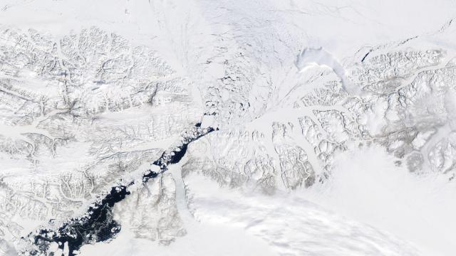 The Gateway Protecting The Arctic’s Oldest Sea Ice Has Collapsed Months Ahead Of Schedule