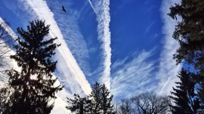 Aeroplane Contrails Have Surprising Effect On The Atmosphere