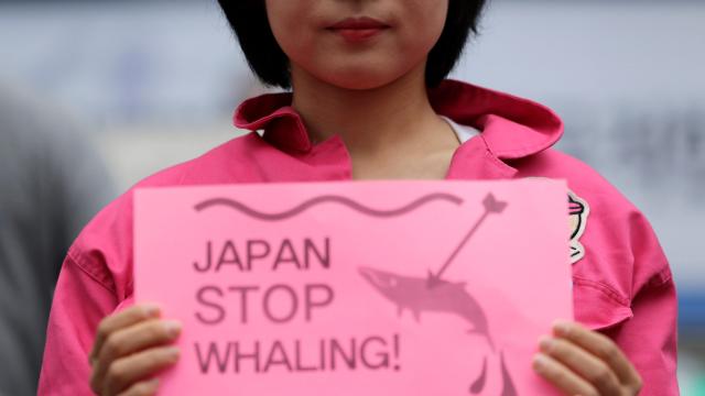 Defying International Community, Japan Resumes Commercial Whaling