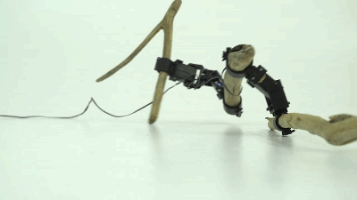 This Sad Robot Made From Random Twigs Has To Teach Itself To Get Around