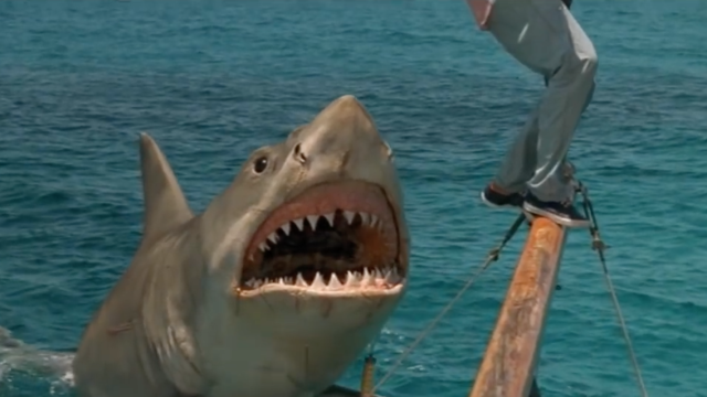 The 5 Best Worst Jaws Rip-Offs
