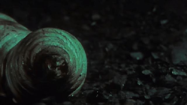 And Now, A Deeply Horrifying Revelation About Doctor Who’s Giant Maggots
