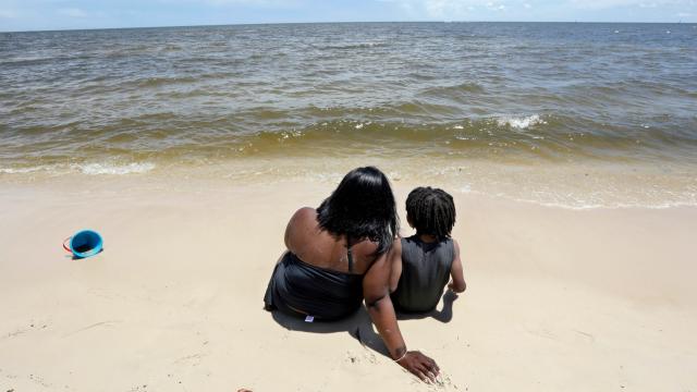 Swimming Banned At U.S. Beaches After Huge Toxic Algae Bloom