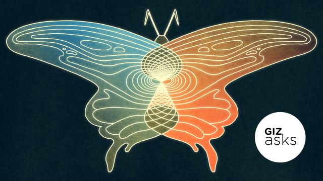 Is The Butterfly Effect Real?