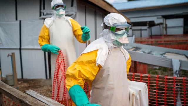 Ebola Outbreak Declared A Public Health Emergency By World Health Organisation