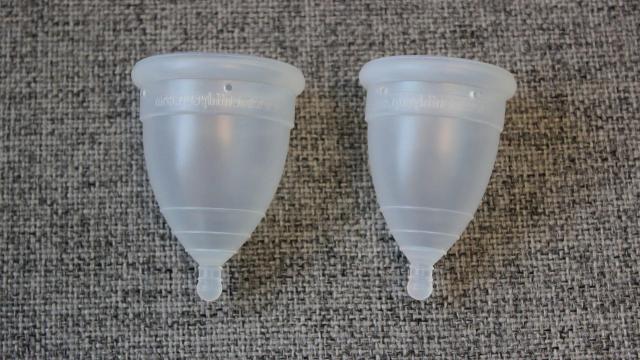 Menstrual Cups Are Indeed A Safe Alternative To Tampons And Pads, Research Review Finds