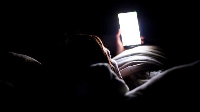 Checking Your Phone At Night Won’t Necessarily Throw Off Your Internal Clock, Mouse Study Finds
