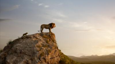Sorry, The Lion King’s ‘Circle Of Life’ Doesn’t Exist In The Natural World