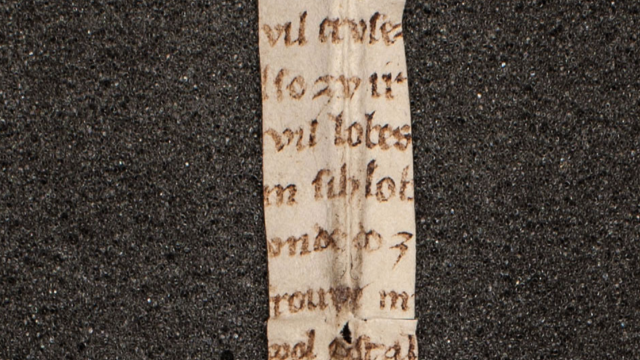 Fragment Of Medieval Poem About A Talking Vulva Found In Austrian Library