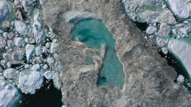 This Satellite Image Shows Everything Wrong With Greenland Right Now