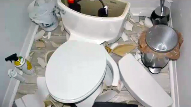 Toilet Explosions: More Common Than You Might Think