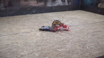 YouTube Concedes Robot Fight Videos Are Not Actually Animal Cruelty After Removing Them By Mistake