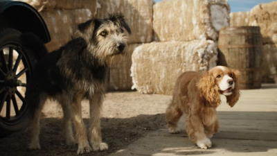 Star-Crossed Puppers Shine In The Adorable First Trailer For Disney’s Live-Action Lady And The Tramp Remake