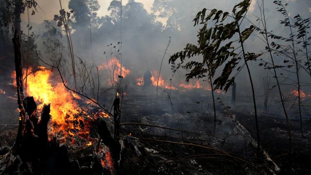 Bolsonaro Government Throws Tantrum, Says It Won’t Accept Amazon Firefighting Funds
