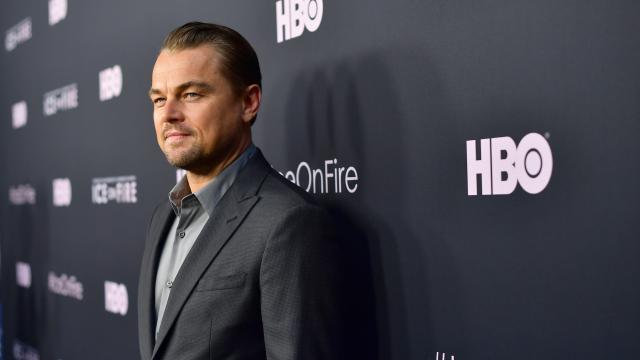 Leo’s $5 Million Donation Is Great, But It’s Not Enough To Save The Amazon