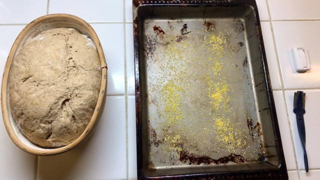 Scientist Bakes Ancient Egyptian Bread, Is Probably Cursed Now