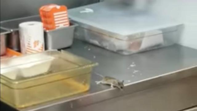 Texas Burger Chain Reopens After Viral Video Shows Mouse Jumping Into Deep Fryer