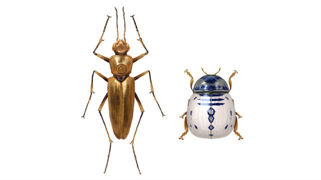 These Star Wars Bugs Will Blow Your Mind And Maybe Gross You Out