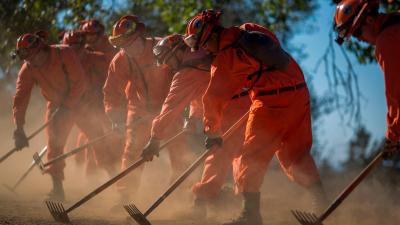 Prison Reform To Blame For Fire Fighting Labour Shortage, Says California