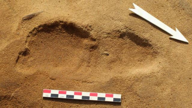 Trove Of Neanderthal Footprints Provide An Unprecedented Glimpse Into Prehistoric Life