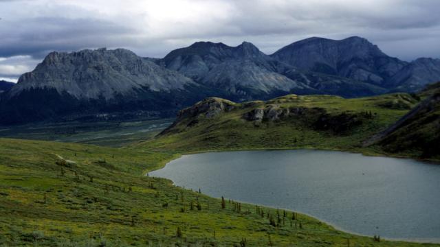How Soon Can Oil And Gas Operations Begin In The Arctic National Wildlife Refuge?