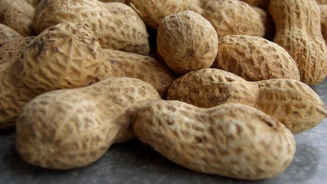 The First Peanut Allergy Drug Might Be Approved Soon In America, But Not Without Controversy