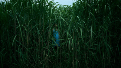 In The Tall Grass Is A Peculiar And Gross Addition To Stephen King’s Horror Pantheon