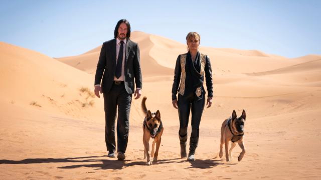John Wick Is Getting A Female-Focused Spin-Off That Is Somehow Not About Halle Berry’s Character