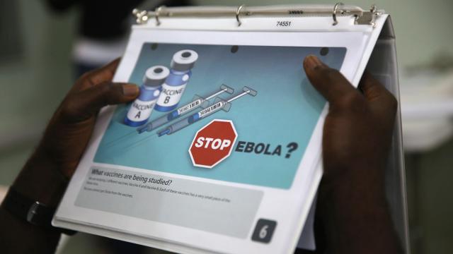 Fighting Climate Change Is Key To Preventing Future Ebola Epidemics, Study Finds