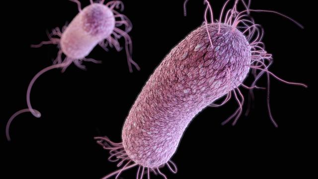 It Took Just Three Weeks For Superbug To Resist Last-Resort Drug, Doctors Say