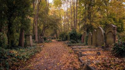 From Beyond The Graveyard: The Rich Roots Of Cemetery Terroir