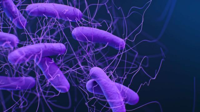 New Report On Superbugs Is Full Of Bad News