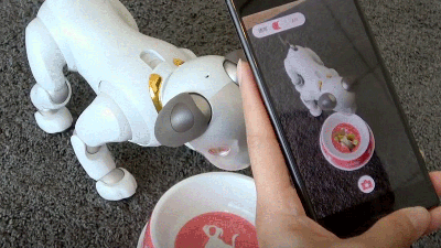 You Can Now Buy Pretend Food For Your $2,900 Sony Robot Dog