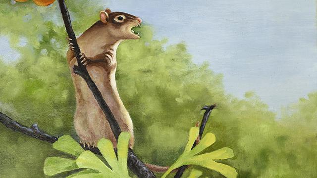 This Newly Discovered Cretaceous Mammal Had Really Freaky Ears
