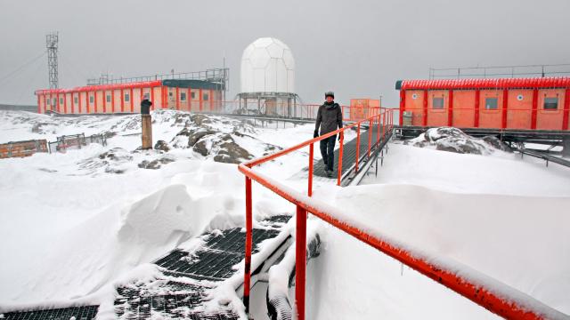 42 Researchers Stranded In Antarctica After Icebreaker Broke Down