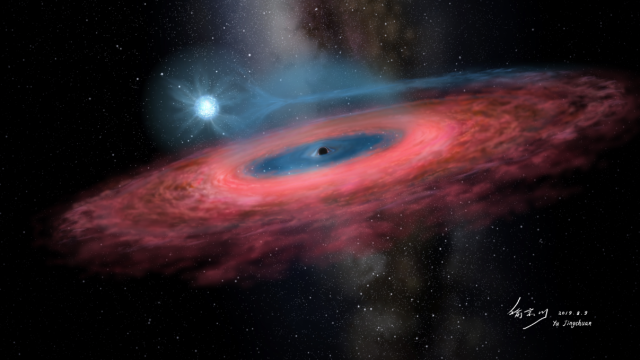 A Surprisingly Big Black Hole Might Have Swallowed A Star From The Inside Out, And Scientists Are Baffled