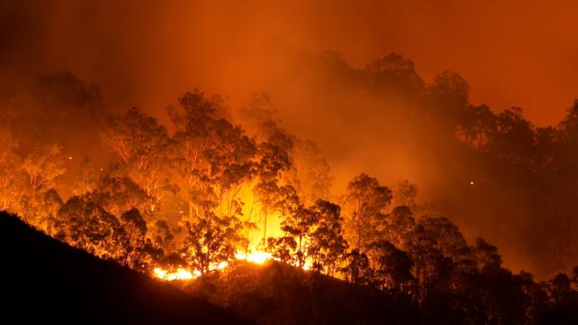 A Surprising Answer To A Hot Question: Controlled Burns Often Fail To Slow A Bushfire