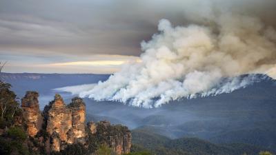 Bushfires Have Reshaped Life On Earth Before, They Could Do It Again