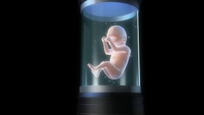 We May One Day Grow Babies Outside The Womb, But There Are Many Things To Consider First
