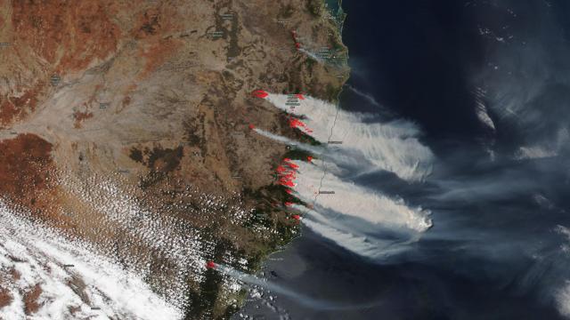 Drought And Climate Change Were The Kindling, And Now Australia’s East Coast Is Ablaze