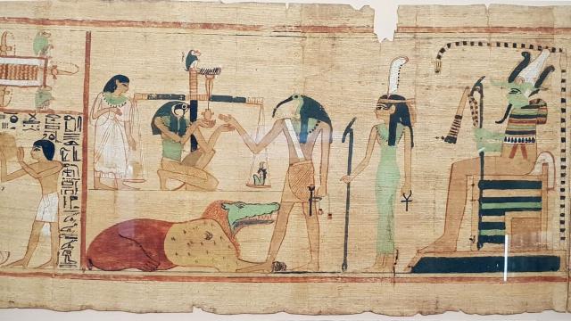 Holy Bin Chickens: Ancient Egyptians Tamed Wild Ibis For Sacrifice