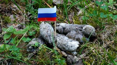 Russia Blocks Shutterstock Website Over Photos Of Russian Flag In Dogshit