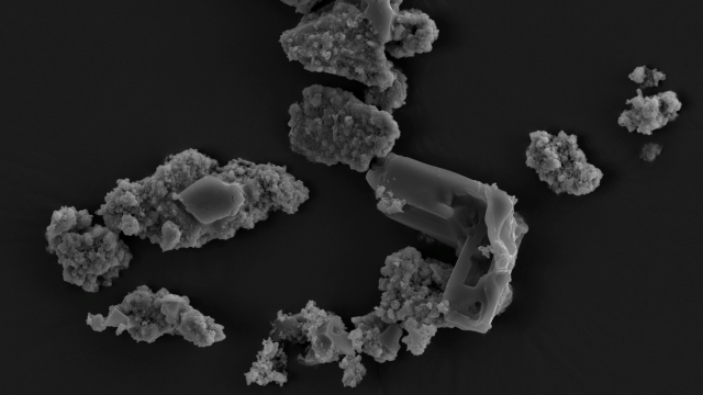This Meteorite-Munching Microbe Might Explain How Life Emerged On Earth
