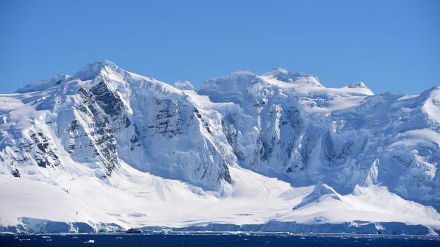 Antarctic Explorers’ Brains Shrunk During A 14-Month Polar Expedition
