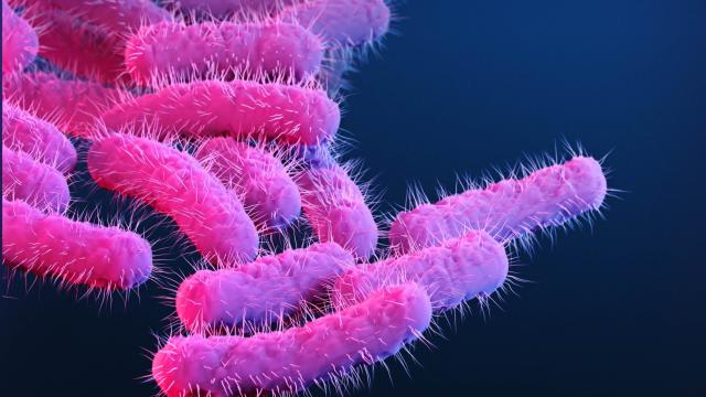 A Superbug STD Is On The Loose In Australia
