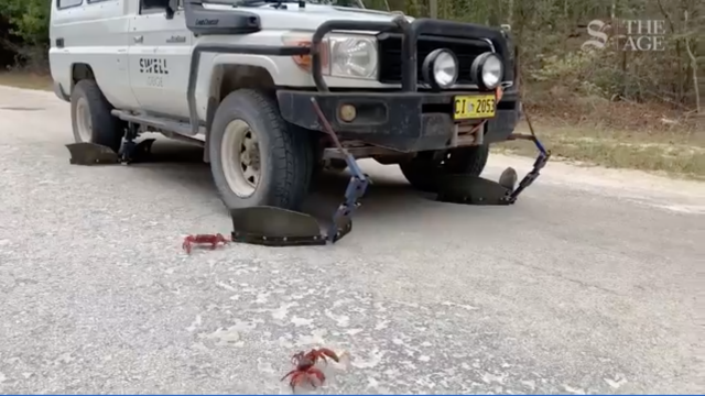 Aussie Land Cruiser Has Been Modified Specifically To Avoid Catching Crabs